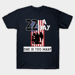 22 A Day T-Shirt